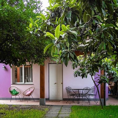 Willa Giardino Carya - Giarre Centro Zewnętrze zdjęcie
